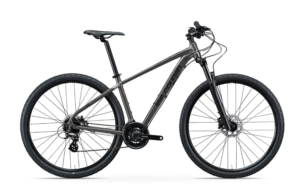 Bicicleta Lee Cougan Rebel